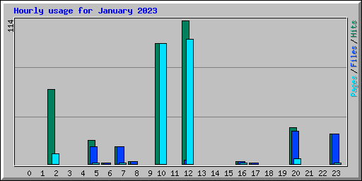 Hourly usage for January 2023