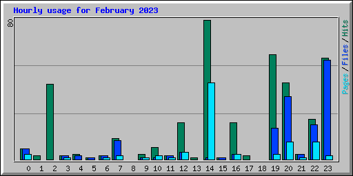 Hourly usage for February 2023